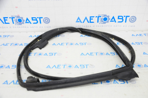 Lexus CT200h 11-17 rear left door seal
