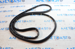 Door seal rear left Chevrolet Malibu 13-15