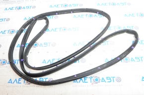 Lincoln MKX 16-18 rear left door seal