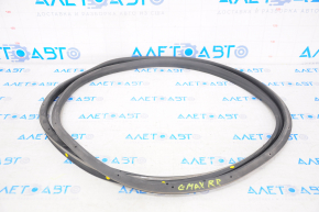 Ford C-max MK2 13-18 rear right door seal