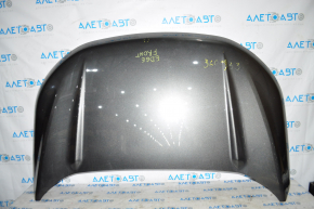 Naked hood Ford Edge 15-18, graphite J7, butt