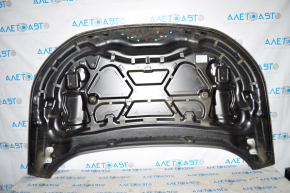 Naked hood Ford Edge 15-18, graphite J7, butt