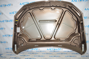 Bare hood VW Jetta 11-18 USA brown LH8Z, butt