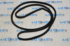 Chrysler 200 15-17 Front Right Door Seal