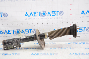 Rear shock absorber left Lexus ES300 ES330 with support