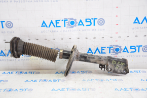 Rear shock absorber left Lexus ES300 ES330 with support
