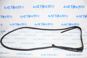Infiniti QX50 19-25 rear right door seal