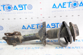 Shock absorber front left Subaru b9 Tribeca with support