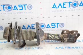 Shock absorber front left Subaru b9 Tribeca with support