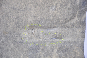 Bottom protection left Subaru Outback 20-25 tear