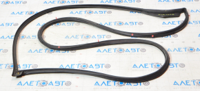 Front right door seal Hyundai Elantra AD 17-20