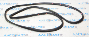 Chevrolet Cruze 16-Front Right Door Seal