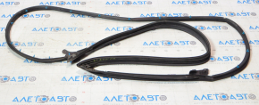 Lexus CT200h 11-17 front right door seal