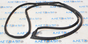 Toyota Prius 30 10-15 Front Right Door Seal
