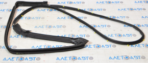 Lexus RX350 RX450h 10-15 Front Right Door Seal