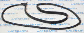 Front right door seal Infiniti Q50 14-20