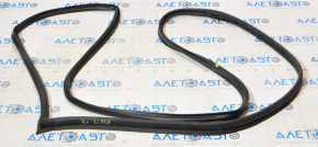 Front right door seal Nissan Maxima A36 16-23