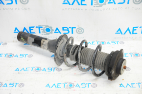 Shock absorber strut assembly front right VW Jetta 11-18 USA d55mm