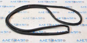 Chevrolet Volt 16-Front Left Door Seal