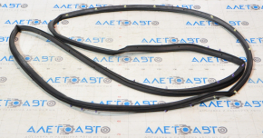 Chrysler 200 15-17 Front Left Door Seal