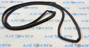Honda Accord 13-17 front left door seal