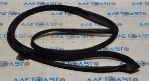 Nissan Pathfinder 13-20 front left door seal