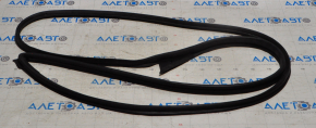 Front left door seal for Nissan Altima 13-18