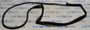 Lexus RX350 RX450h 10-15 Front Left Door Seal