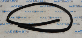 Front left door seal for Ford Mustang mk6 15-23