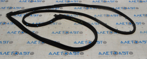 Door Seal Front Left Dodge Charger 11-23