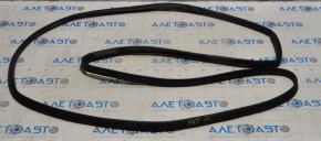 Lincoln MKX 16-18 front left door seal