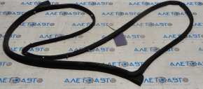 Jeep Compass 11-16 Front Left Door Seal