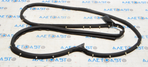 Front right door seal Ford Ecosport 18-20