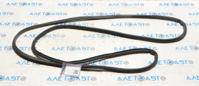 Rear Left Door Seal GMC Terrain 10-17