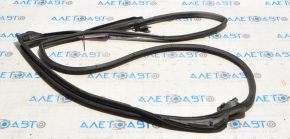 Lexus CT200h 11-17 rear right door seal