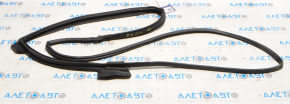 Lexus RX350 RX450h 10-15 Rear Right Door Seal