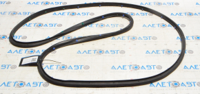 Chevrolet Malibu 16-23 rear right door seal
