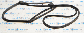 Infiniti JX35 QX60 13- Rear Right Door Seal