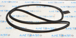 Door Seal Rear Left Ford Escape MK4 20-24