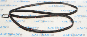 Ford Edge 15-24 rear right door seal