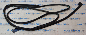 Door seal rear right Ford Explorer 11-19