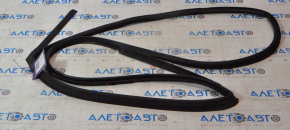 Nissan Altima 13-18 rear right door seal