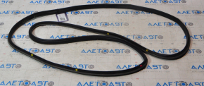 Ford C-max MK2 13-18 rear left door seal
