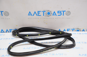 Front left door seal Chevrolet Cruze 11-16