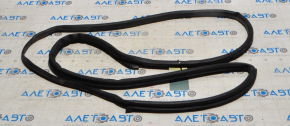 Mercedes W211 rear left door seal
