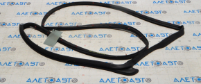 Jeep Compass 11-16 rear left door seal