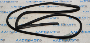 Door Seal Rear Left Dodge Charger 11-23