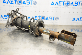Shock absorber strut assembly rear right Jeep Renegade 15-18 AWD rusty