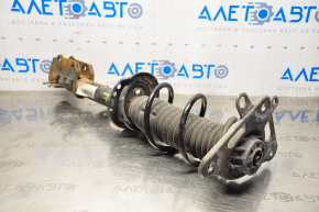 Shock absorber strut assembly rear right Jeep Renegade 15-18 AWD rusty