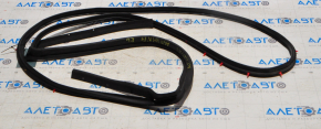 Rear left door seal for Nissan Altima 13-18
